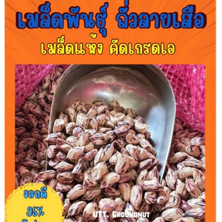 เมล็ดพันธุ์ ถั่วลายเสือ เมล็ดแห้ง 1 กก. ปลูกได้ งอกดี แปรรูปทำอาหารได้