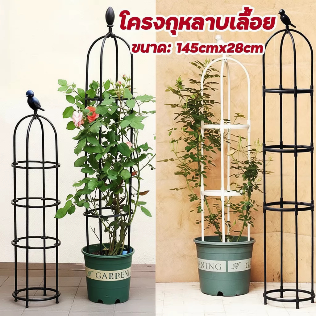 【จัดส่งฟรี】145cm*28cm โครงกุหลาบเลื้อย ซุ้มไม้เลื้อย เหล็กแข็งแรง ท่อเหล็กเคลือบ PE กันสนิม กระถางต้น