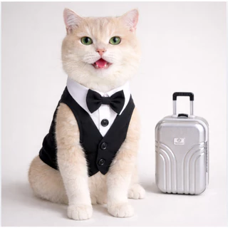 สูทหมา สูทแมว Dog Tuxedo เสื้อกั๊ก แขนกุด ติดโบว์ ผ้าหรู ลุคคุณชาย ชุดออกงาน งานแต่ง วันเกิด หมาเล็ก แมวใส่ได้
