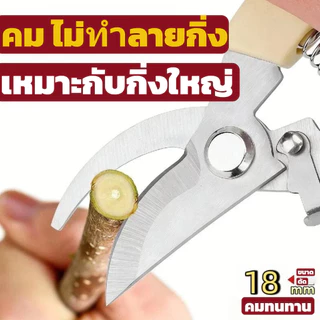 กรรไกรตัดแต่งไม้สแตนเลส ประหยัดแรง ตัดกิ่งไม้หนา เครื่องมือสวนมืออาชีพ
