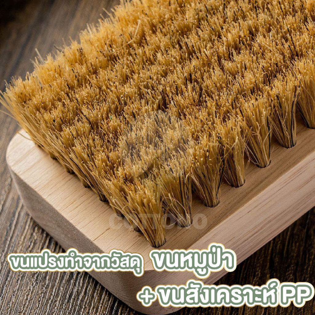 【COTTONO コットンノ】แปรงขัดอเนกประสงค์ ด้ามไม้ จับถนัดมือ รูปที่ 3