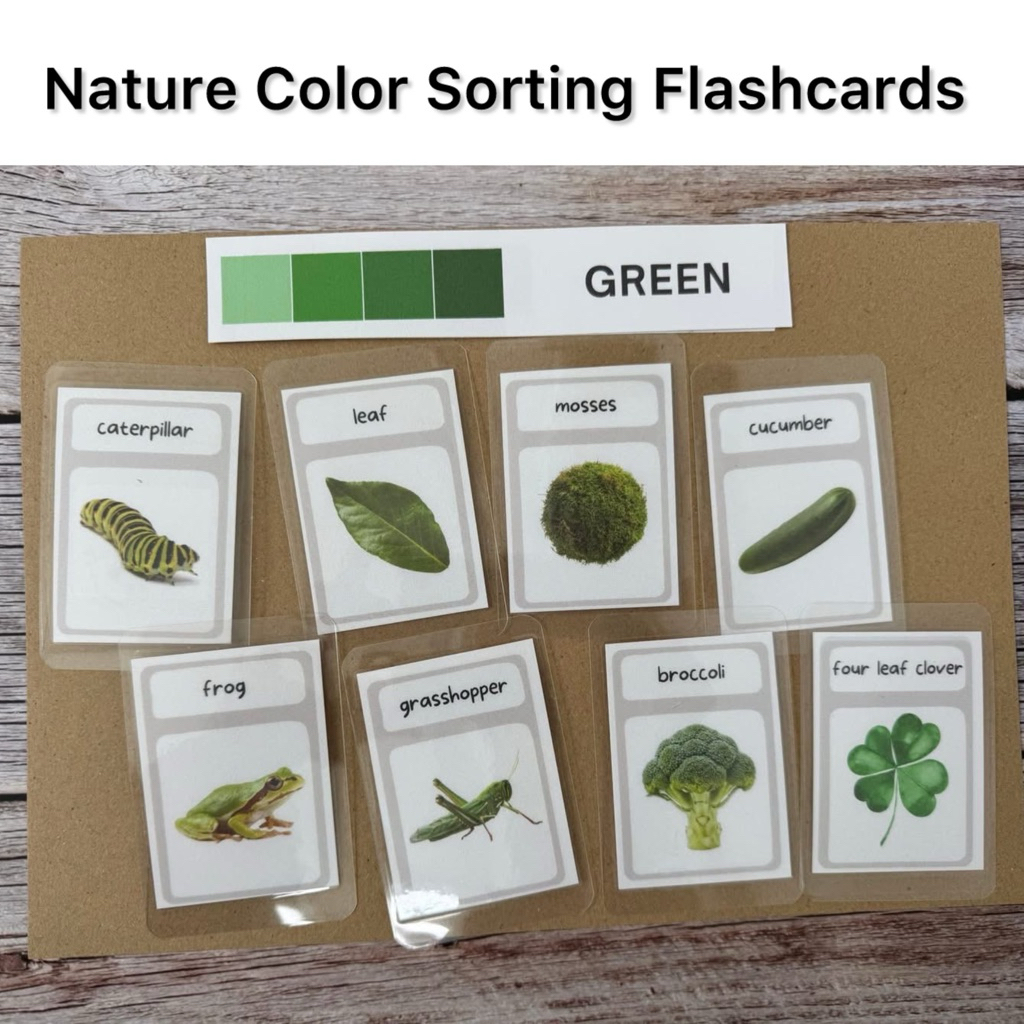 ชุด Montessori sensory play, Nature Color Sorting Flashcards ชุดกิจกรรมแยกสี คำศัพท์ธรรมชาติ 11 สี 88 บัตรคำ