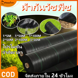 ใบปิดดินกันหญ้าคุณภาพสูง ทนแดดต้านยูวี อายุยืนยาว ระบายน้ำได้ดี ไม่ให้หญ้าโต ใช้งานง่าย ตัดได้ตามขนาด เหมาะสำหรับสวนผัก