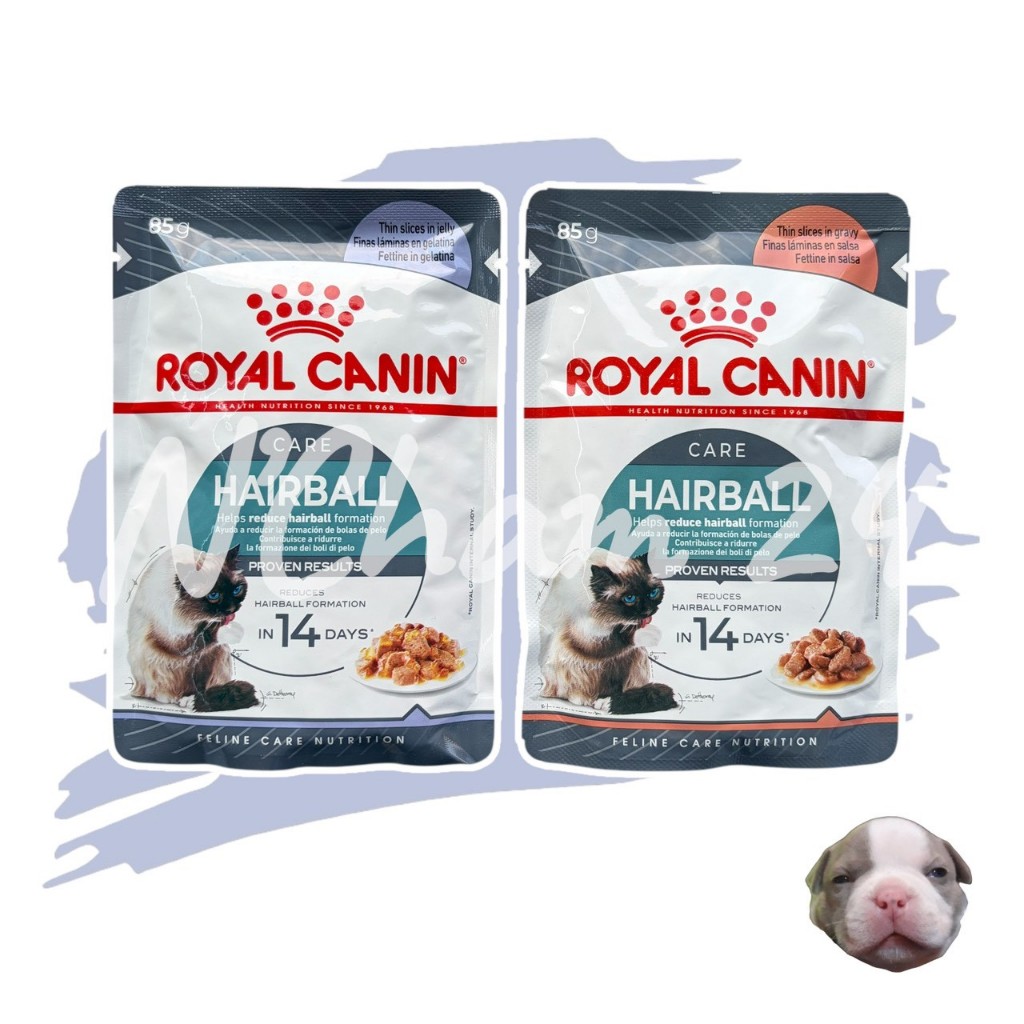 Royal Canin Hairball Care Pouch Gravy & Jelly อาหารเปียกแมวโต ดูแลปัญหาก้อนขน อายุ 12 เดือนขึ้นไป