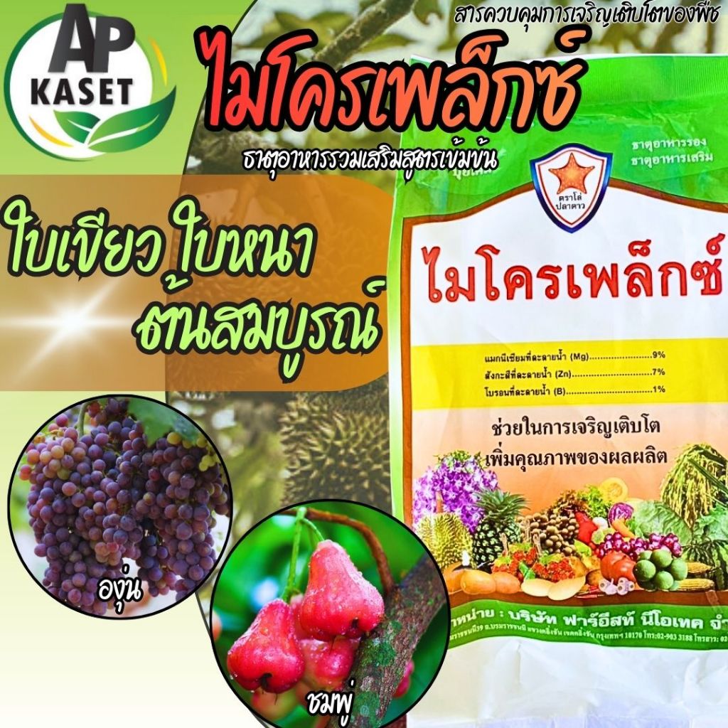 ไมโครเพล็กซ์ ธาตุอาหารรอง-เสริม เนื้อคีเลต บำรุงใบ ขยายใบใหญ่ ฟื้นต้น เร่งการแตกยอด แมกนีเซียมสูง ขนาด 1 กิโลกรัม ส่งฟรี