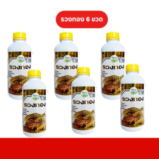 รวงทอง(6ขวด) สามช่วงสุดท้ายสำคัญในนาข้าว รับท้อง โผล่เผล่ สลัดเกสร 1 ขวด 15-20 ไร่ เร่งเต่ง เพิ่มน้ำหนัก