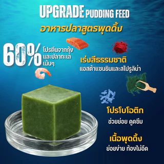 อาหารปลาสวยงาม UpGrade สูตรพุดดิ้ง อาหารปลาเร่งโต อนุบาลปลา โปรตีนสูง น้ำไม่ขุ่น ปลาบอลลูน
