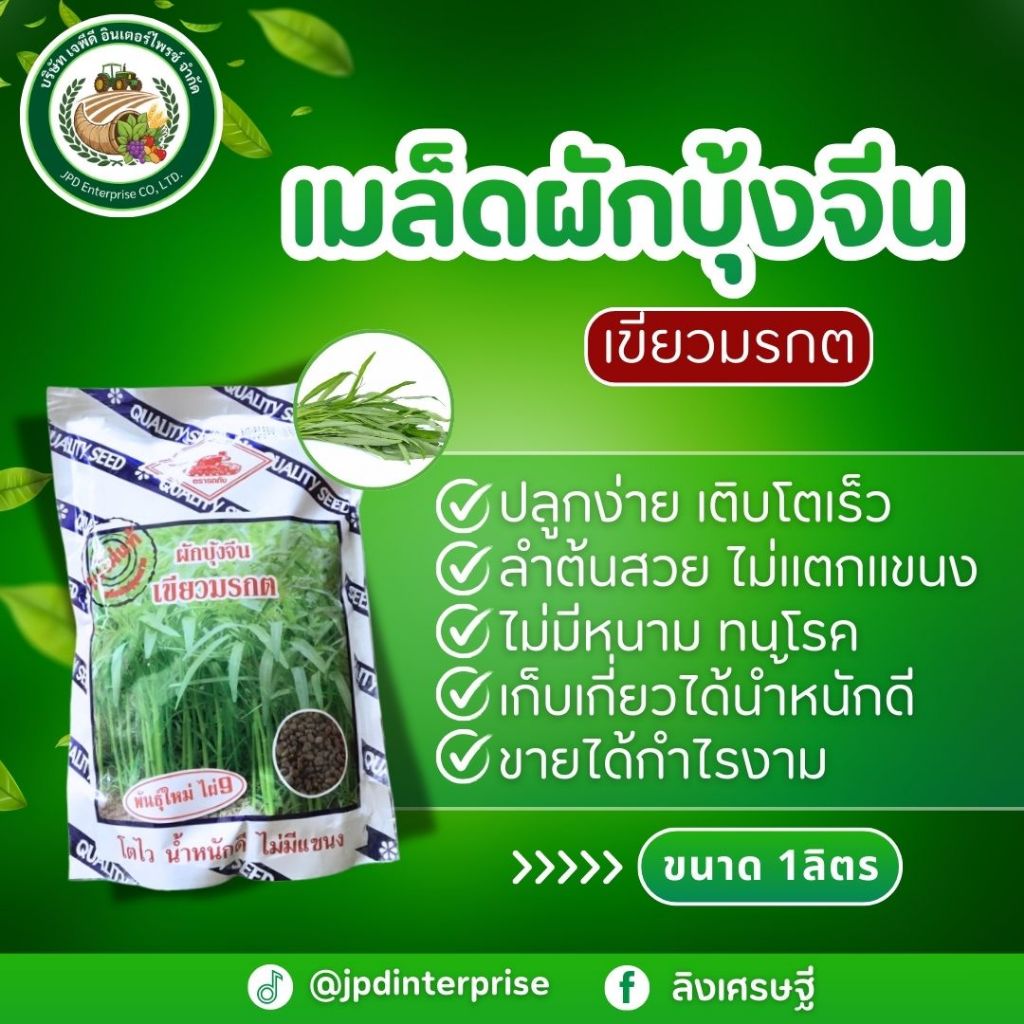 เมล็ดผักบุ้งเขียวมรกต ขนาด(1Kg/1000g)