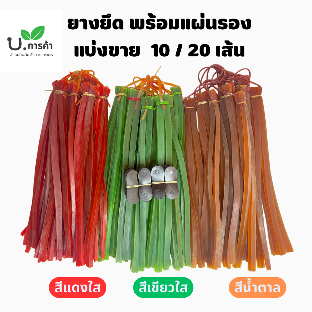 ยางหนังสติ๊ก เส้นพม่า 1มัด มี20 เส้น + แผ่นหนังรอง 20 อัน รูปที่ 8