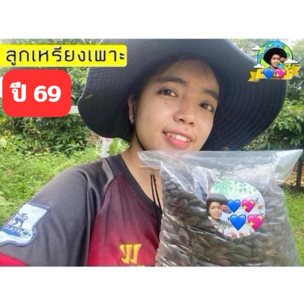 ลูกเหรียงใต้ ลูกเหรียงตรัง ปี 69 Kaset Ban Gie