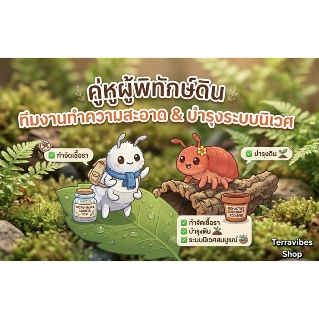 แมลงสปริงเทลSpringtailsผู้ช่วยดูแลสวนขวดแก้ว