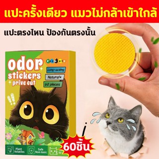 🐱แปะครั้งเดียว แมวไม่มาอีก🐱ก้อนไล่แมว ไล่แมว ที่ไล่แมว 60ชิ้…