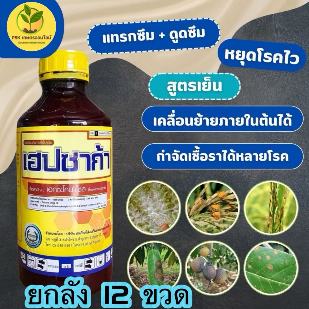 ***(ยกลัง12ขวด)**เฮปซาก้า 1 ลิตร เฮกซะโคนาโซล 5%SC หวีทอง ราแป้ง ราดำ แอนแทรทคโนส เน่า ใบจุด เมล็ดด่าง สูตรเย็น
