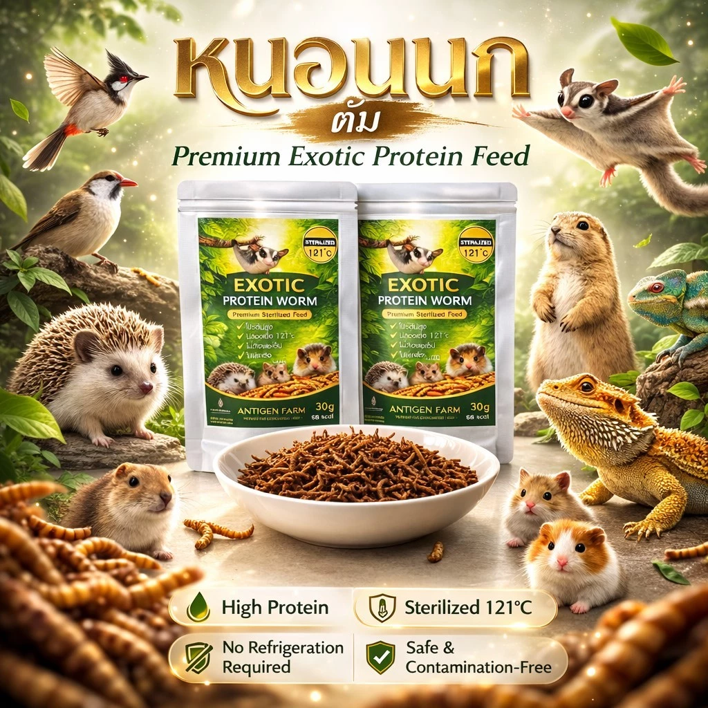 หนอนนก EXOTIC PROTEIN WORM สเตอริไลซ์ ฆ่าเชื้อ แบบต้ม เก็บได้1ปี ไม่ต้องแช่เย็น เหมาะสำหรับ ชูการ์ แม่นแคะ สัตว์ฟันแทะ