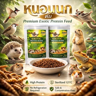 หนอนนก EXOTIC PROTEIN WORM สเตอริไลซ์ ฆ่าเชื้อ แบบต้ม เก็บได้1ปี ไม่ต้องแช่เย็น เหมาะสำหรับ ชูการ์ แม่นแคะ สัตว์ฟันแทะ