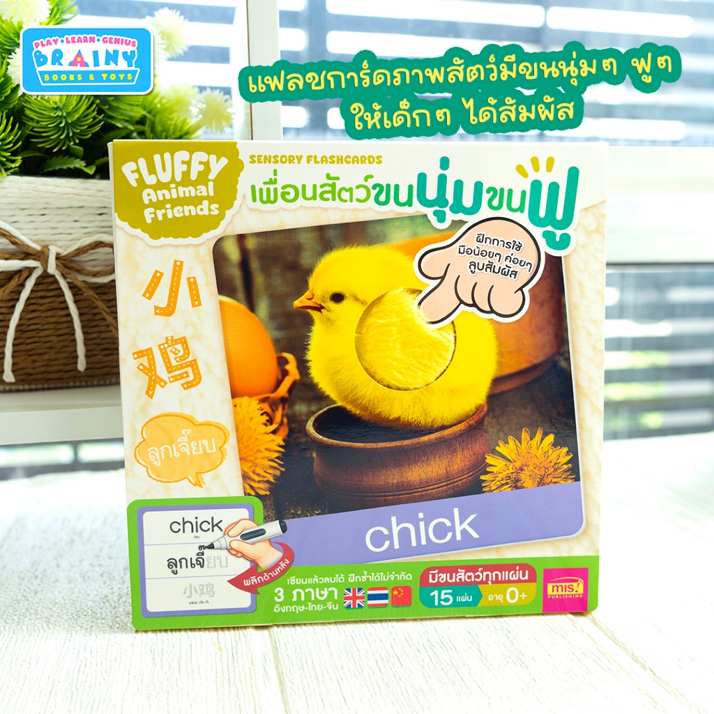 BrainyToys แฟลชการ์ดเพื่อนสัตว์ขนนุ่มขนฟู มีขนสัตว์ทุกแผ่น พร้อมคำศัพท์ 3 ภาษา ฝึกเขียนได้ (15 แผ่น)
