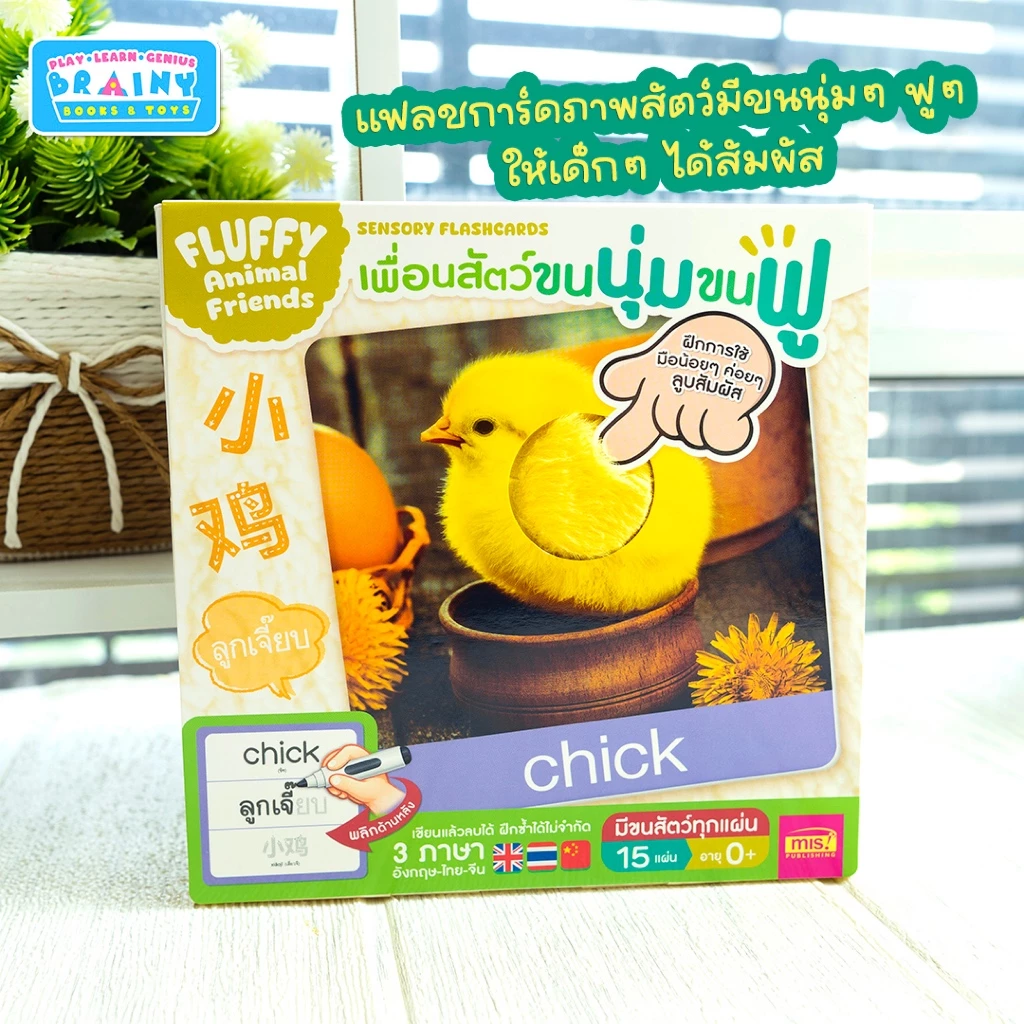 BrainyToys แฟลชการ์ดเพื่อนสัตว์ขนนุ่มขนฟู มีขนสัตว์ทุกแผ่น พร้อมคำศัพท์ 3 ภาษา ฝึกเขียนได้ (15 แผ่น)