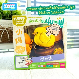 BrainyToys แฟลชการ์ดเพื่อนสัตว์ขนนุ่มขนฟู มีขนสัตว์ทุกแผ่น พร้อมคำศัพท์ 3 ภาษา ฝึกเขียนได้ (15 แผ่น)