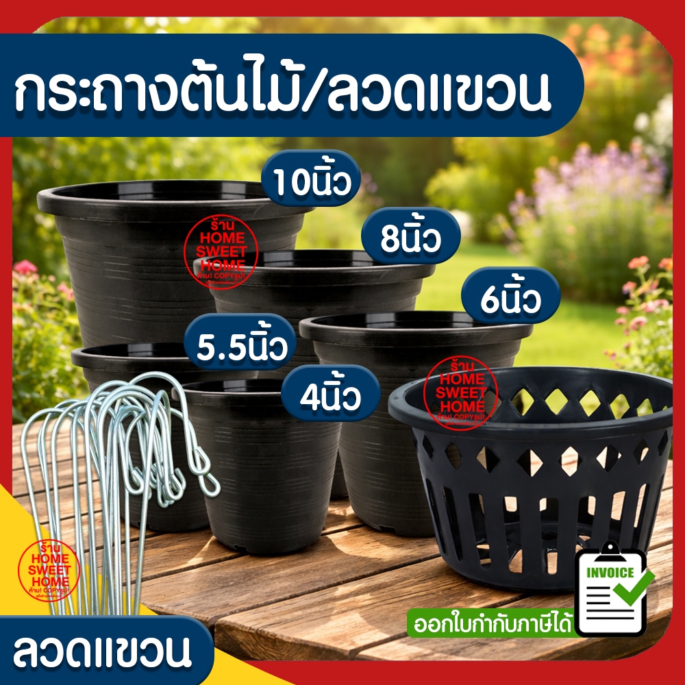 กระถางต้นไม้ สีดำ ลวดแขวนกระถาง ฟองน้ำ ต้นไม้ เพาะปลูก เพาะชำ กล้วยไม้ 4/5.5/6/8 นิ้ว