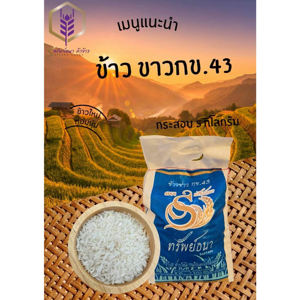 ข้าวน้ำตาลต่่ำ ข้าวขาวกข43 ข้าวอ่อน ข้าวนิ่ม ข้าวหอม ข้าวปลอดภัย น้ำหนัก 5 กิโลกรัม