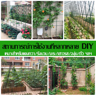 10 แท่งในห่อ ไม้ค้ำยันต้นไม้ 60-150 ซม. หนา 8-20 มม. หลักไม้ค้ำ เสามะเขือเทศ หลักไม้เลื้อย ค้างต้นไม้ ซุ้มต้นไม้ ค้างผั