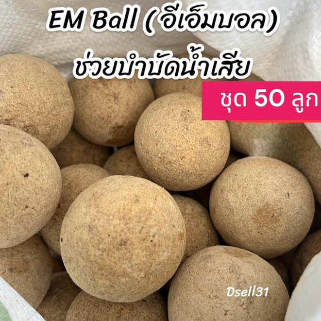EM Ball อีเอ็มบอล 50 ลูก หัวเชื้อ บำบัดน้ำเสีย ดับกลิ่น น้ำเน่าเสีย ส่งทุกวัน
