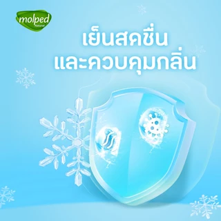 Molped โมลเพด ไอซี่คูล แผ่นอนามัยสูตรเย็น แบบมาตรฐาน จำนวน 14 ชิ้น