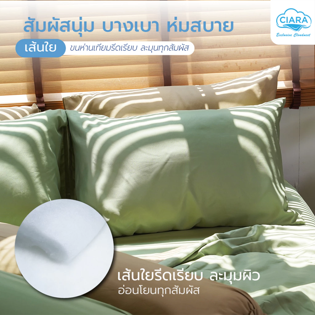 CIARA Bedding ชุดผ้าปูที่นอนและผ้านวมทูโทน สีเขียวมัสฉะ-น้ำตาล ผ้าไมโครเทคลินิน thumbnail 3