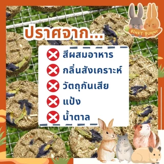 Binky Bunny House คุ้กกี้หญ้าทิโมธี (Timothy Hay Cookie) ขนมอบแห้งลับฟันสำหรับสัตว์ฟันแทะ แพ็คใหญ่