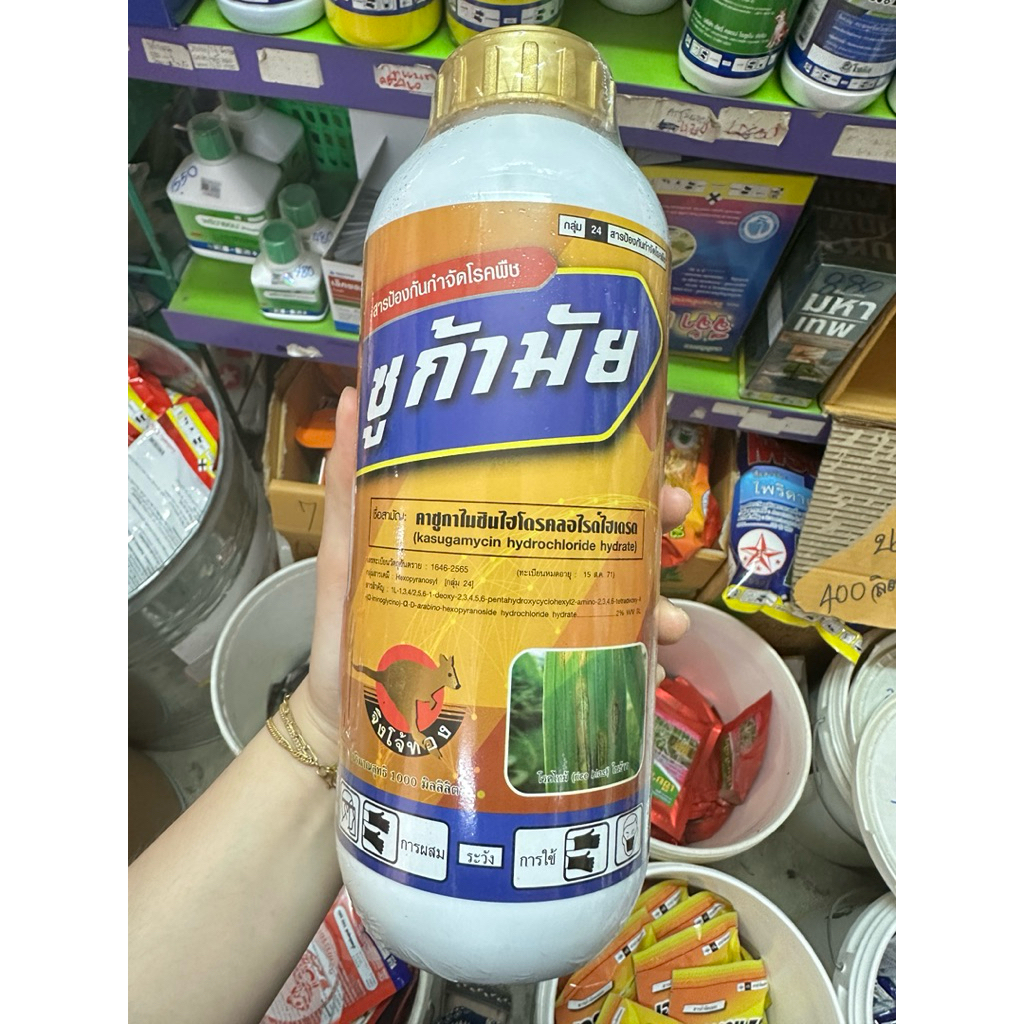 ซูก้ามัย จิงโจ้ทอง คาซูกาไมซิน ไฮโดรคลอไรด์ ไฮเดรต 2% ดูดซึม กำจัดเชื้อรา + แบคทีเรีย สูตรเย็น 1 ลิตร แท้100%