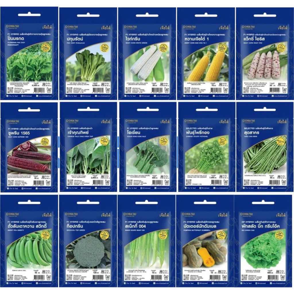 เมล็ดพันธุ์เจียไต๋ ผักซอง อีซี่ ปลูกง่าย ได้อย่างโปร โตดี งอกดี เทียบเท่าระดับโปร