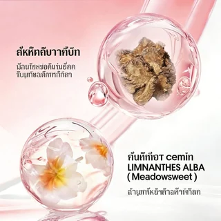 LESSXCOCO มาสคาร่ากันน้ำ มาสคาร่าหนา ติดทนนาน ดัดขนตาให้งอนอย่างเป็นธรรมชาติ แต่งขนตาให้ดูยาวและหนา Waterproof Mascara