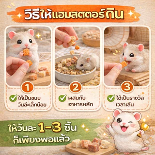 [HiHamster]เนื้อสัตว์ฟรีซดายพรีเมี่ยม10 ชนิด ขนมโปรตีนสูง สำหรับแฮมสเตอร์ แมว สุนัข ชูก้า