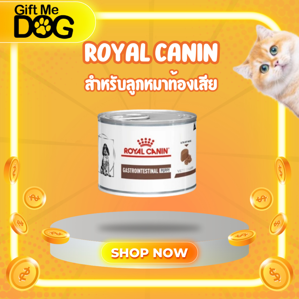 royal canin Gastro puppy 12กระป๋อง