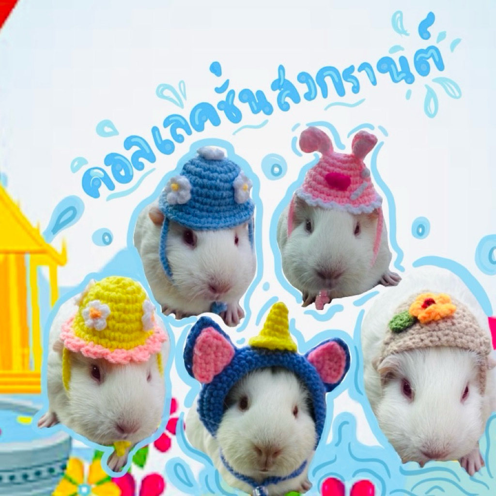 หมวกสัตว์ฟันแทะ คอลสงกรานต์🌦️💦