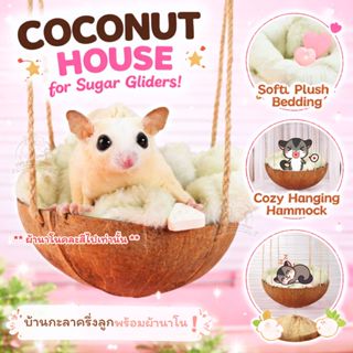 บ้านกะลาชูก้าร์ไกลเดอร์ เปลนอนชูก้าร์ไกรเดอร์ ครึ่งลูก พร้อม…