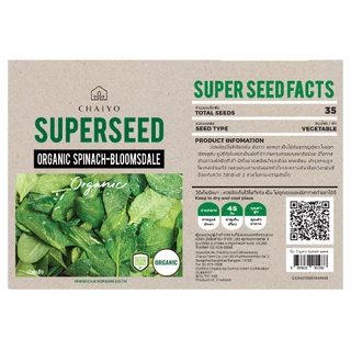 เมล็ด SPINACH-Bloomsdale (Organic) ปวยเล้ง ออร์แกนิค