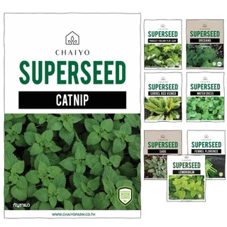 เมล็ด CATNIP และ เมล็ดสมุนไพรออร์แกนิค Herbs Seeds