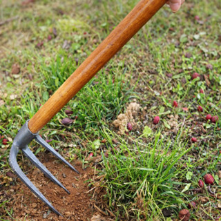 คราดพรวนดิน 3 ซี่ พร้อมด้ามไม้ เครื่องมือถอนหญ้า พรวนดิน กำจ…