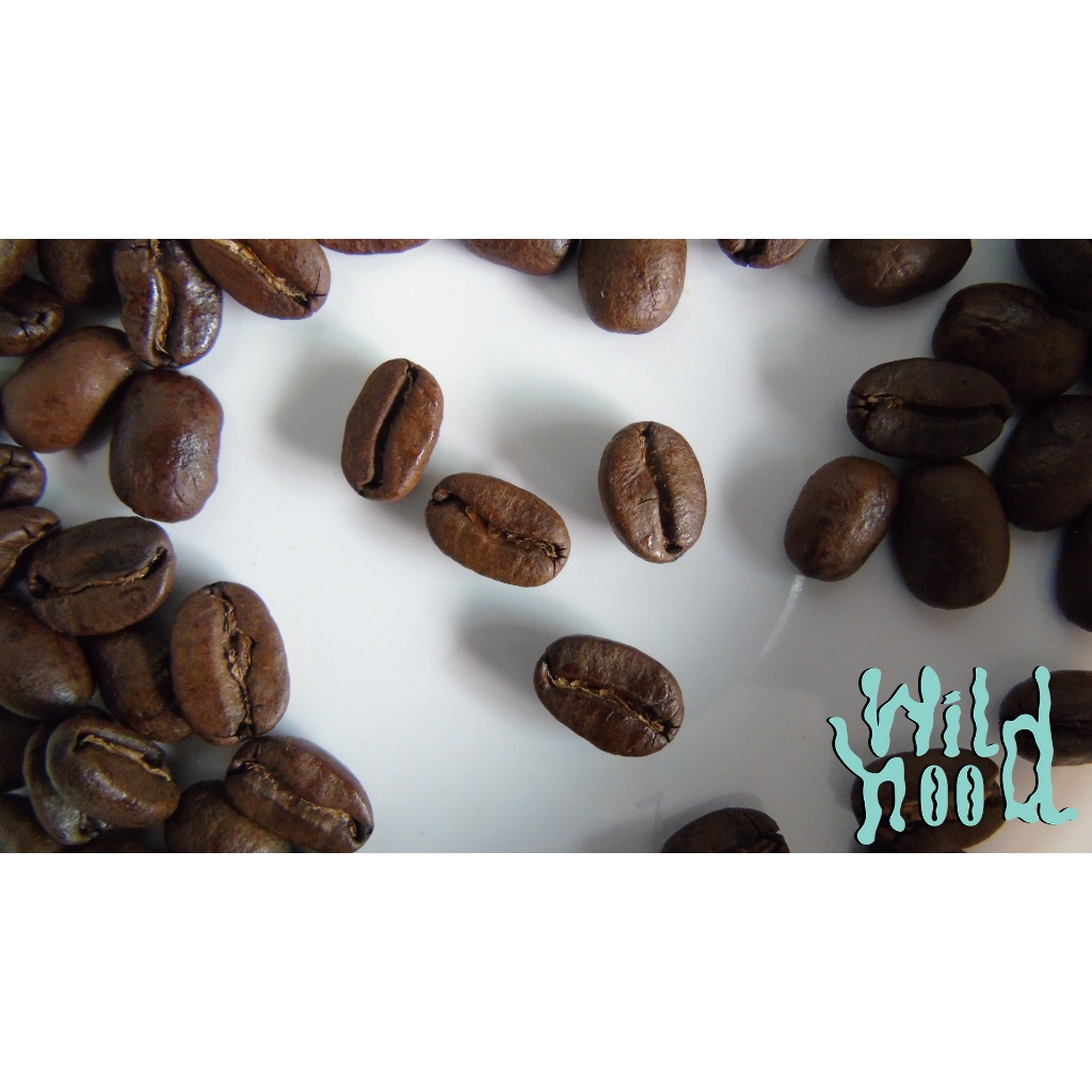 Papua New Guinea เมล็ดกาแฟปาปัวนิวกินี – Wild Hood Coffee Roaster ราคา ถูกที่สุด โปรบีเคเค แกลเลอรีภาพที่ 2