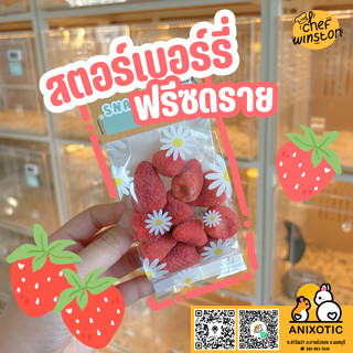 Chef Winston [สตอร์เบอร์รี่] Strawberry Freeze Dried สตอเบอร…
