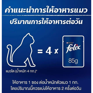 FELIX เฟลิกซ์ อาหารแมวแบบเปียก ทุกรสชาติสำหรับแมวทุกตัว 1โหล (12x85g)