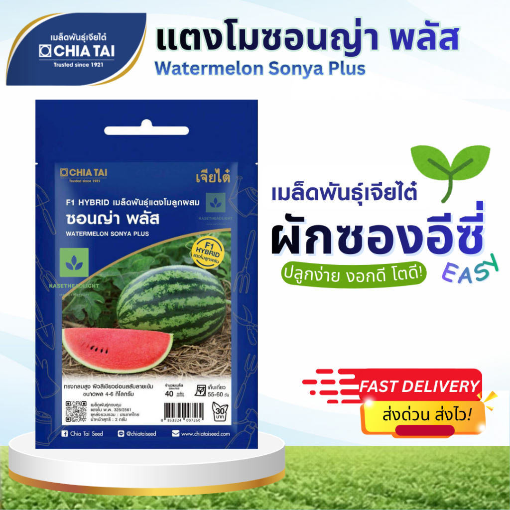 Easy เมล็ดพันธุ์แตงโม ซอนญ่าพลัส 2กรัม เจียไต๋ Watermelon Sonya Plus