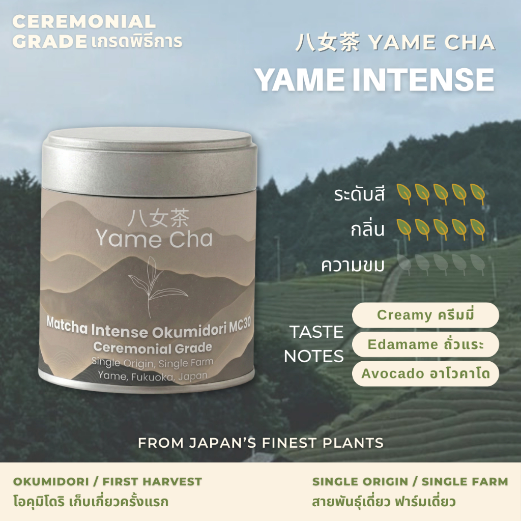 Matcha Yame Intense [Ceremonial Grade] ผงมัทฉะญี่ปุ่น เกรดพิธีการ 30 / 100g