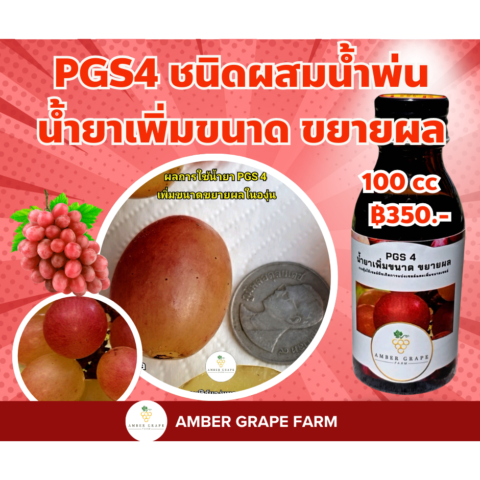 PGS4 น้ำยาเพิ่มขนาด ขยายผล - ชนิดผสมน้ำพ่น