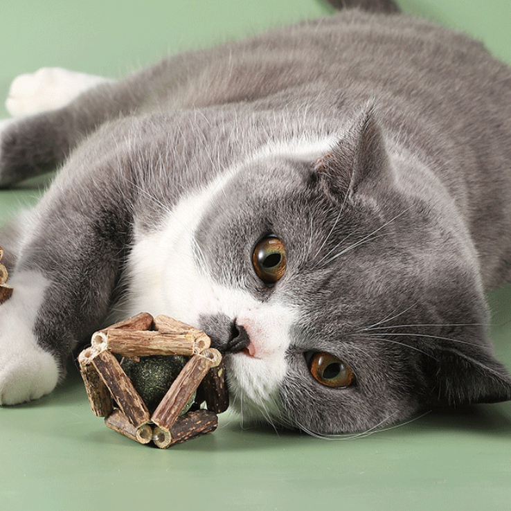 MG-1510 Catnip Ball แคทนิป ทรงเหลี่ยมคุณภาพดี กระตุ้นการเล่น ช่วยผ่อนคลายแมว พร้อมส่ง ✨🐾