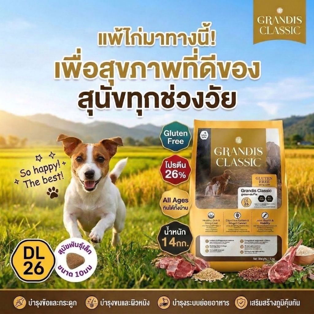 แกรนดีส DL26 (14กก) อาหารสุนัขเกรดพรีเมี่ยม GRANDIS  สูตรกลูเตนฟรี แกะและข้าว