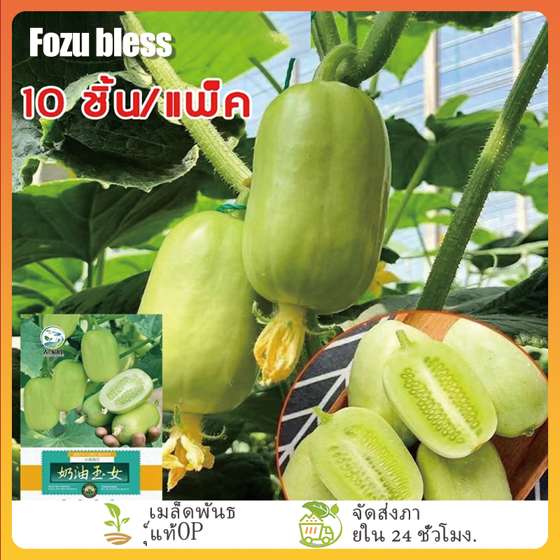 FOZU ซื้อ 5 แถม 5 ฟรี แตงกวาลูกดก 10 เมล็ด เมล็ดพันธุ์แตงกวาลูกดก งอกง่าย โตไว ผลดกมากก ผลแตงกวาสด