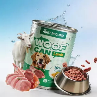 🔥 PET Record อาหารสุนัขเปียก กระป๋อง 430ก อาหารสุนัข โภชนาการสมดุล สุขภาพดี ย่อยง่าย 🐶✨