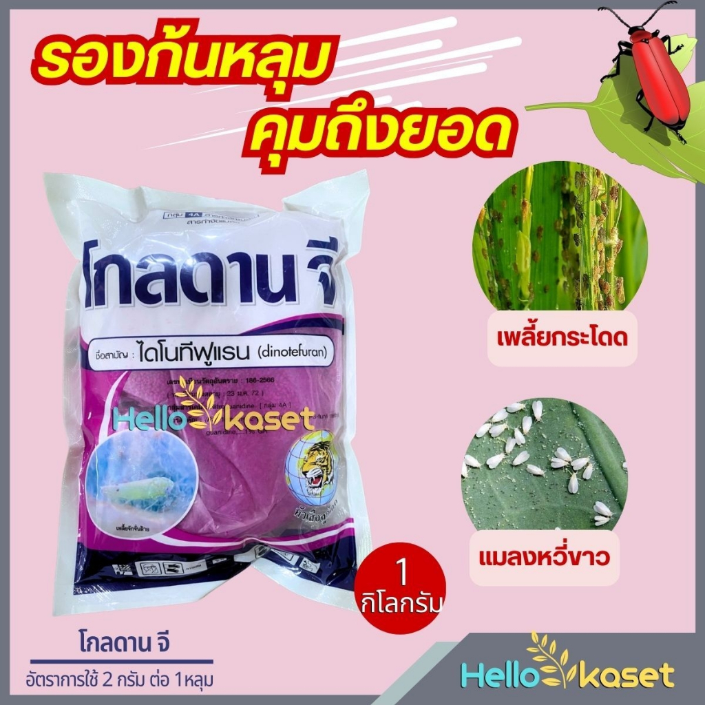โกลดานจี 1 กิโลกรัม สารไดโนทีฟูแรน ป้องกันและกำจัดเพลี้ยและแมลง 2-5 กรัม ต่อ 1 หลุม การปลูก